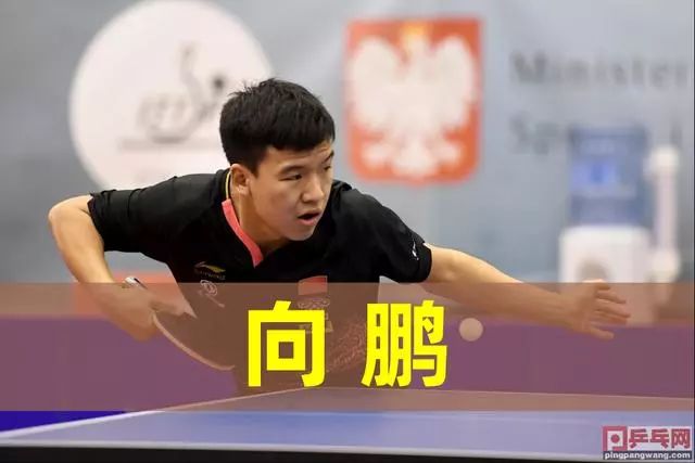 发球迷热议 发球迷热议