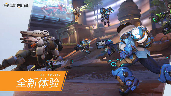 东契奇回到 东契奇回到