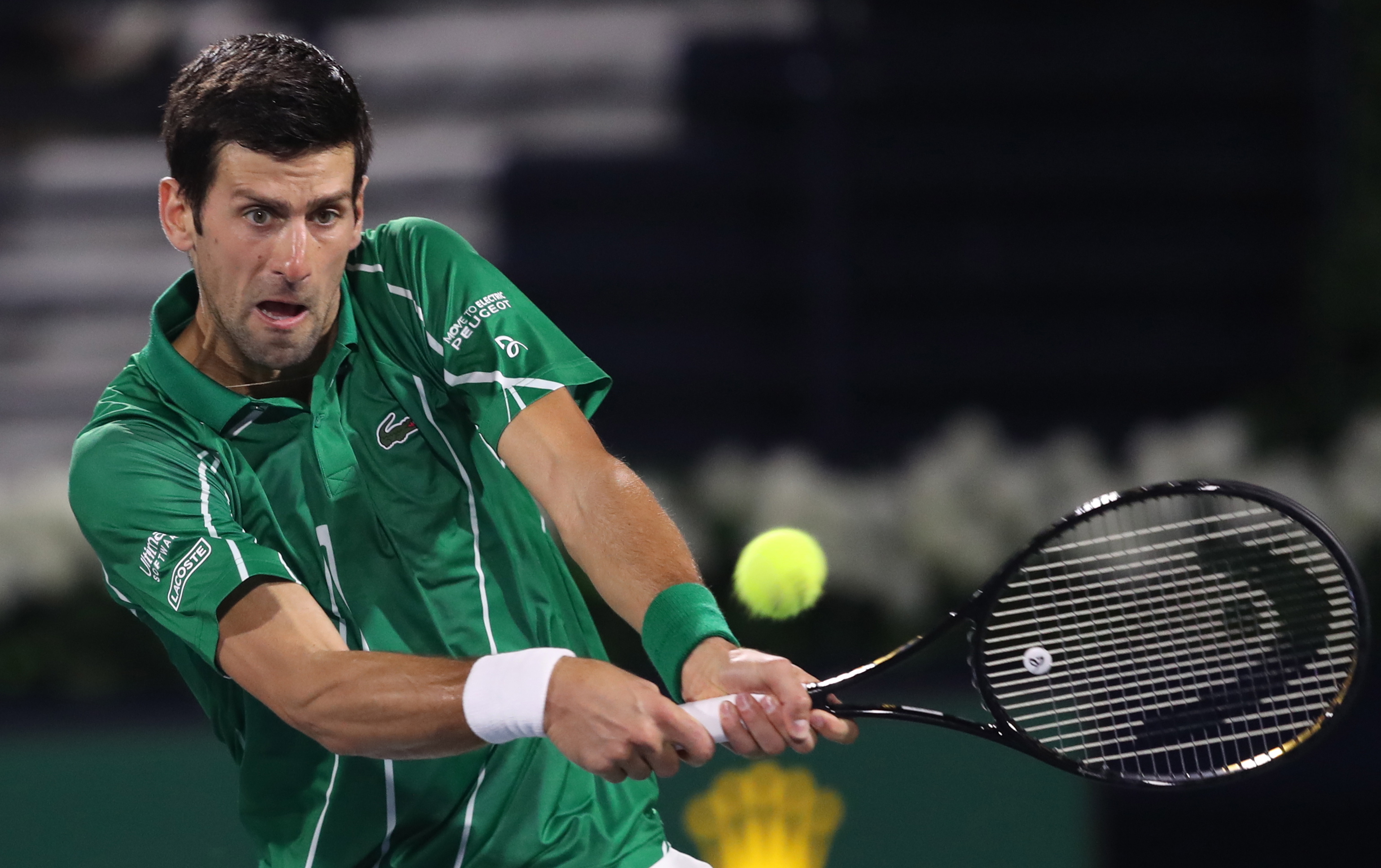 献的高水准 献的高水准